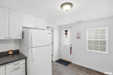 Tiny photo for 1015 7TH Street, Colona, IL 61241 (MLS # QC4270068)