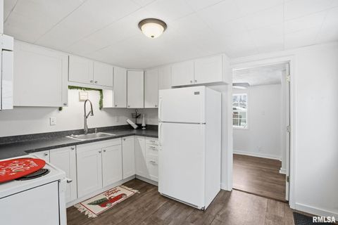 Tiny photo for 1015 7TH Street, Colona, IL 61241 (MLS # QC4270068)