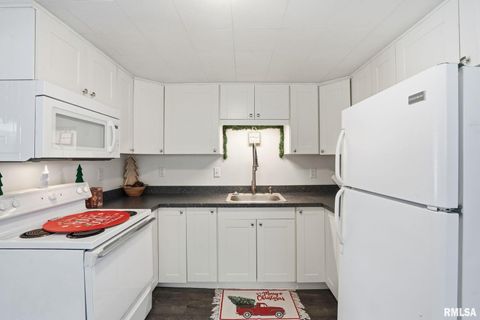 Tiny photo for 1015 7TH Street, Colona, IL 61241 (MLS # QC4270068)