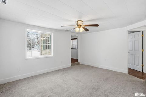 Tiny photo for 1015 7TH Street, Colona, IL 61241 (MLS # QC4270068)