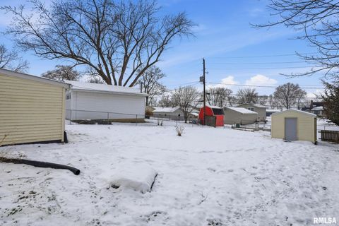 Tiny photo for 1015 7TH Street, Colona, IL 61241 (MLS # QC4270068)
