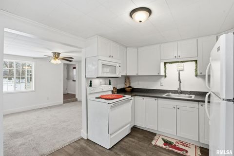 Tiny photo for 1015 7TH Street, Colona, IL 61241 (MLS # QC4270068)