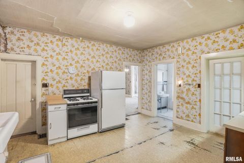 Tiny photo for 228 S 2ND Street, Le Claire, IA 52753 (MLS # QC4268273)