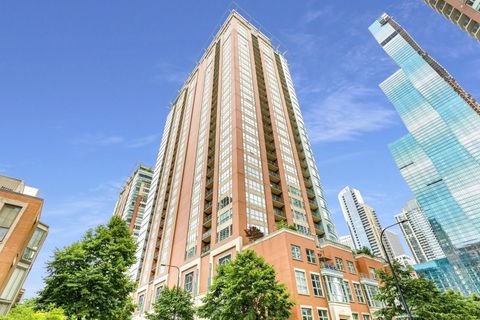 415 E North Water Street 2204 Chicago IL 60611