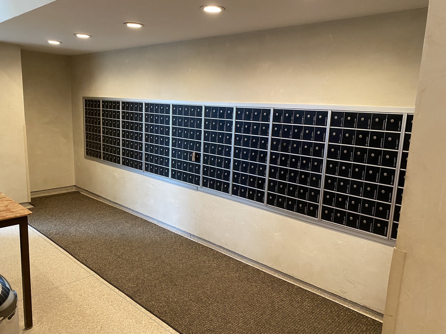 3550 N Lake Shore Drive 924