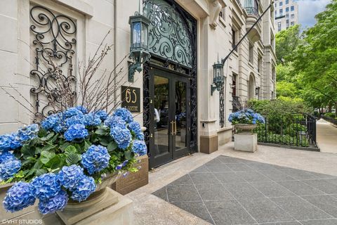 Tiny photo for 65 E Goethe Street #4N, Chicago, IL 60610 (MLS # 12620466)