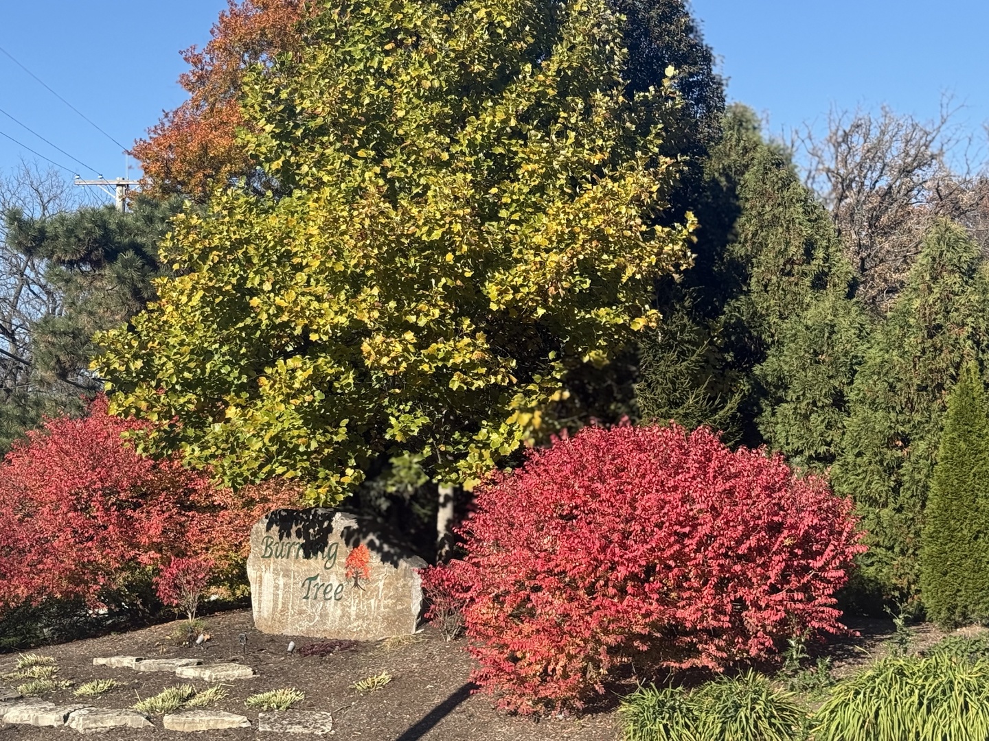 7015 Burning Tree Circle