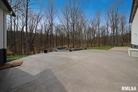 Tiny photo for 4763 State Route 127 Highway N, Cobden, IL 62920 (MLS # 12579562)