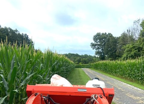 Tiny photo for 4763 State Route 127 Highway N, Cobden, IL 62920 (MLS # 12579562)