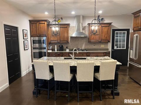 Tiny photo for 4763 State Route 127 Highway N, Cobden, IL 62920 (MLS # 12579562)