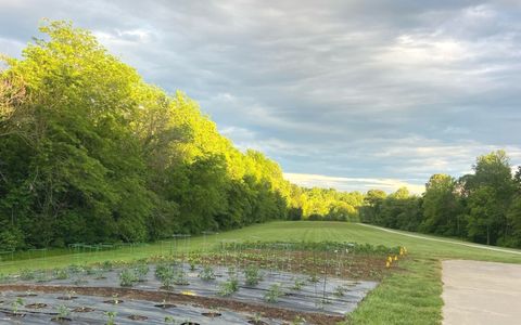 Tiny photo for 4763 State Route 127 Highway N, Cobden, IL 62920 (MLS # 12579562)