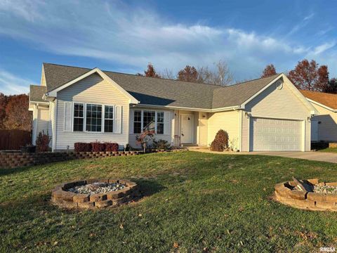 Tiny photo for 4232 Woodglen Lane, Mt Vernon, IL 62864 (MLS # EB460550)