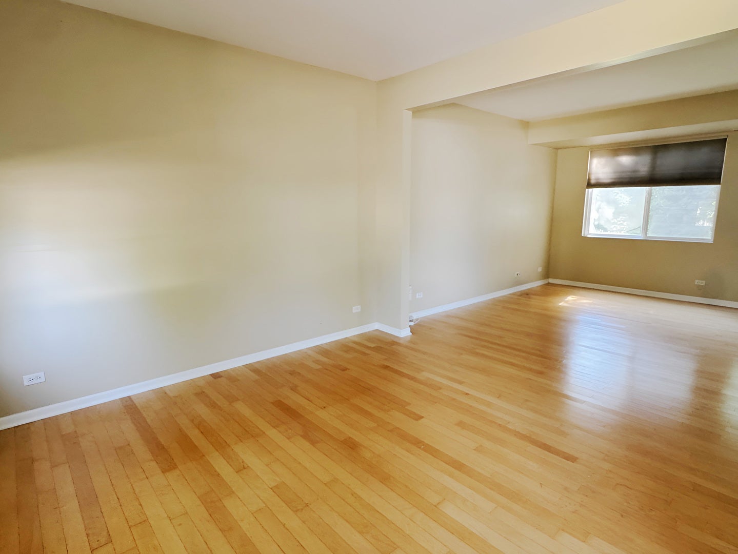 568 Truman Drive
