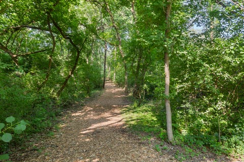 Tiny photo for 49 Oak Hill Colony #12, Fox Lake, IL 60020 (MLS # 12704347)