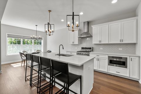 Tiny photo for 13101 Eliza Court, Lemont, IL 60439 (MLS # 12472076)