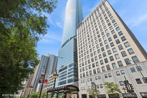 910 S Michigan Avenue 1111 Chicago IL 60605