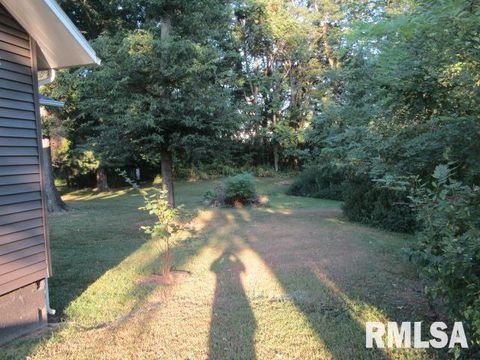 Tiny photo for 1506 HILLSIDE Road, Rosiclare, IL 62982 (MLS # EB459339)