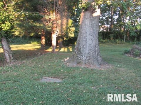 Tiny photo for 1506 HILLSIDE Road, Rosiclare, IL 62982 (MLS # EB459339)