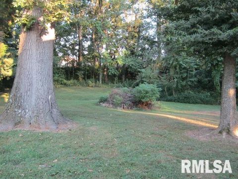 Tiny photo for 1506 HILLSIDE Road, Rosiclare, IL 62982 (MLS # EB459339)