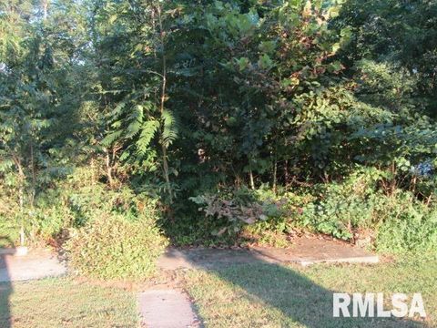 Tiny photo for 1506 HILLSIDE Road, Rosiclare, IL 62982 (MLS # EB459339)