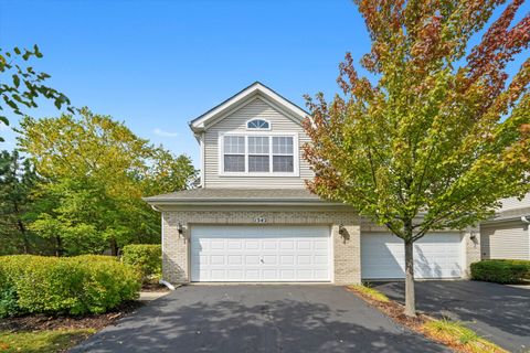 Photo of 1342 LUNT Court, Schaumburg, IL 60193 (MLS # 12472642)