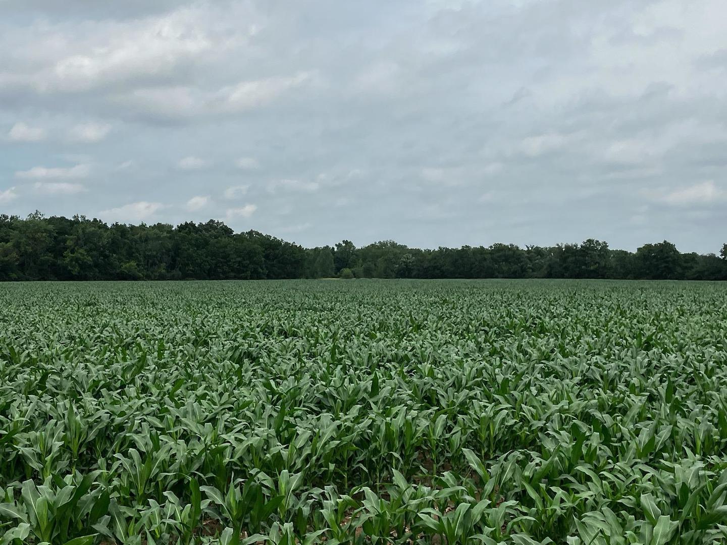 000 Garden Prairie Road