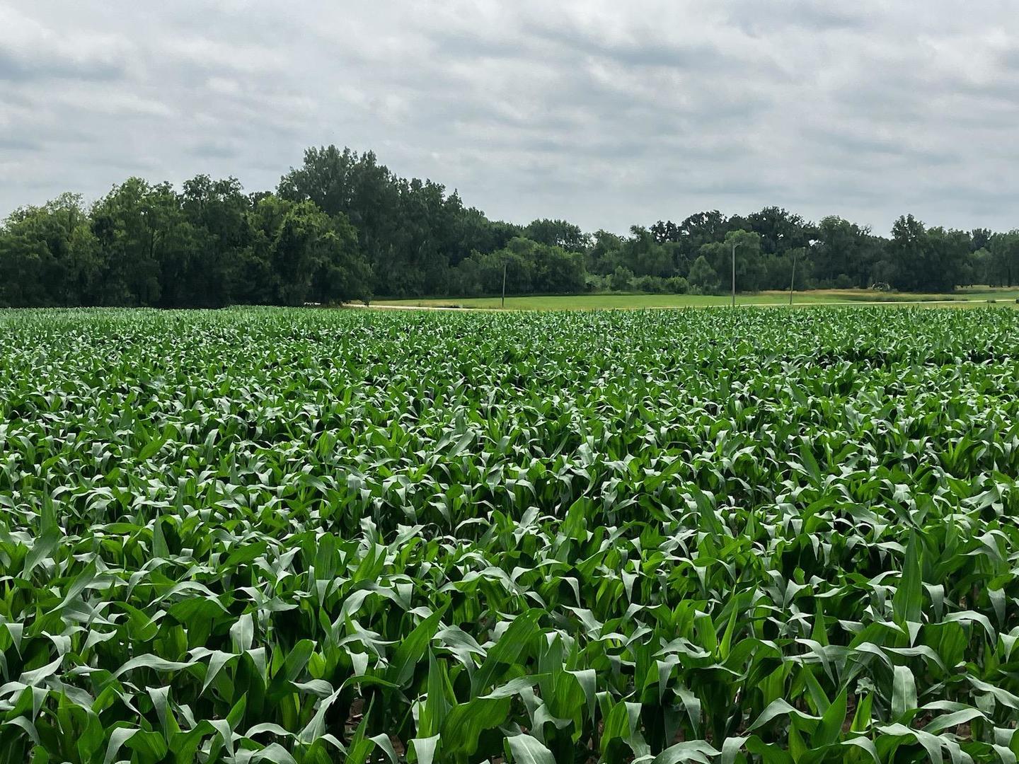 000 Garden Prairie Road