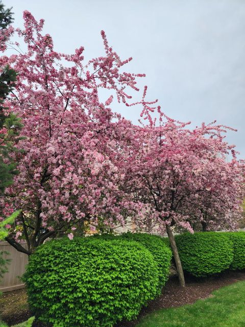 Tiny photo for 263 Lillian Court, Geneva, IL 60134 (MLS # 12596370)