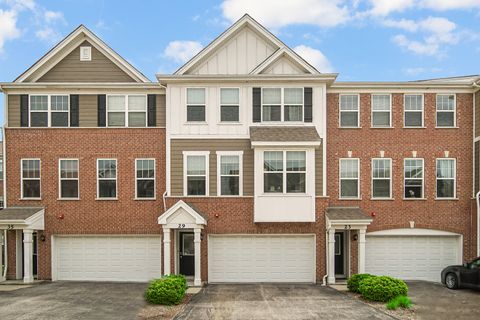 29 Grey Wolf Drive Wheeling IL 60090