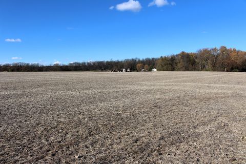 Tiny photo for 17395 Swisher Hill Road, Dewitt, IL 61735 (MLS # 12513428)