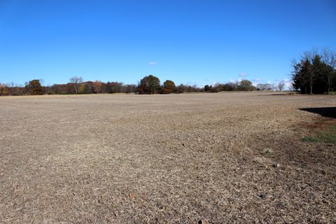 Tiny photo for 17395 Swisher Hill Road, Dewitt, IL 61735 (MLS # 12513428)