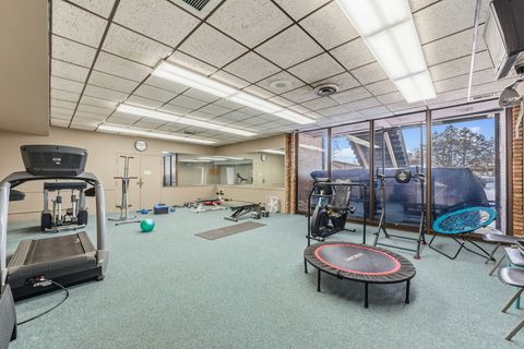 Tiny photo for 450 Raintree Court #3P, Glen Ellyn, IL 60137 (MLS # 12550398)