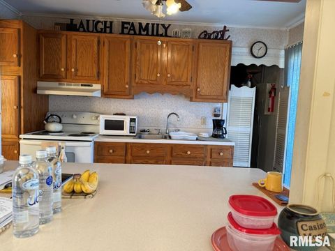 Tiny photo for 1005 S 5TH Street, Quincy, IL 62301 (MLS # QC4269433)