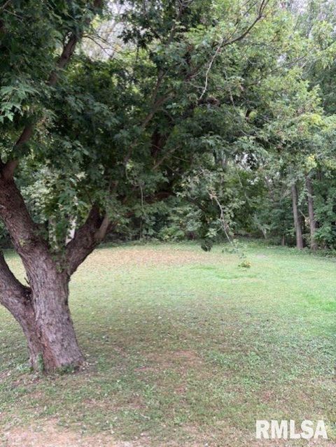 Tiny photo for 328 Island Ave Avenue, East Moline, IL 61244 (MLS # QC4268104)