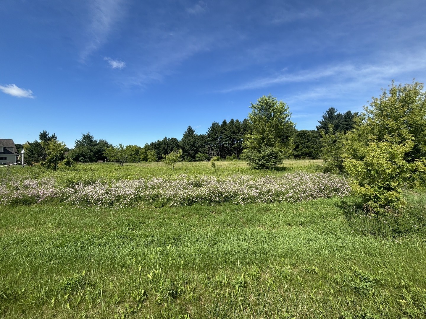 7607 Hidden Pine Lane