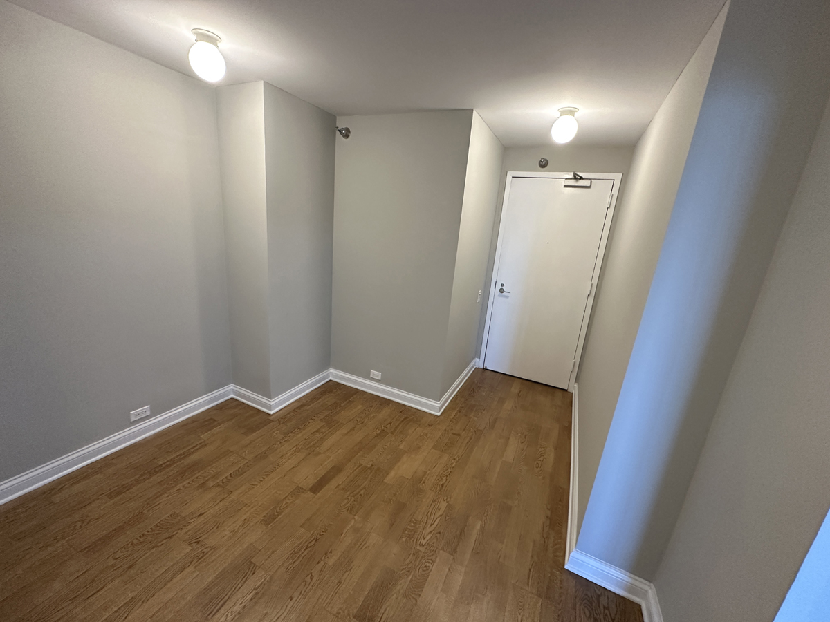 474 N Lake Shore Drive 6102
