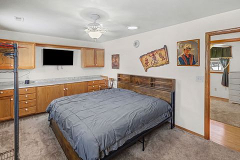 Tiny photo for 3192 Nation Road, Salem, IL 62881 (MLS # 12565873)