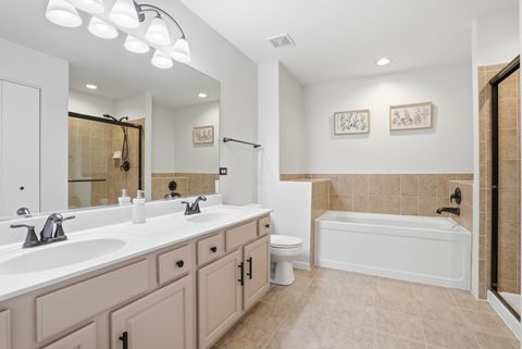 Tiny photo for 319 Grape Vine Trail, Oswego, IL 60543 (MLS # 12591518)