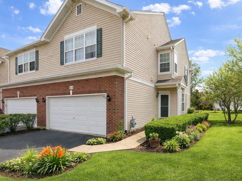 Photo of 319 Grape Vine Trail, Oswego, IL 60543 (MLS # 12591518)