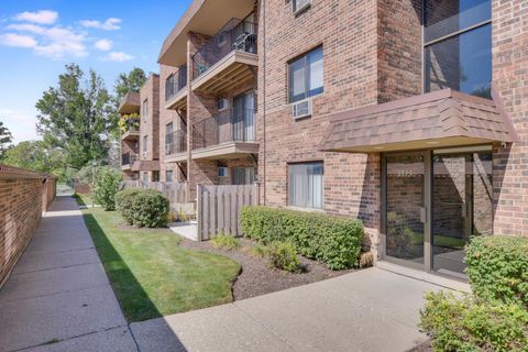 3617 Central Road 203 Glenview IL 60025