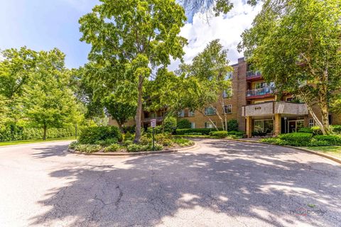 945 E KENILWORTH Avenue 120 Palatine IL 60074