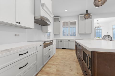 Tiny photo for 120 W Sauk Trail, Frankfort, IL 60423 (MLS # 12582906)