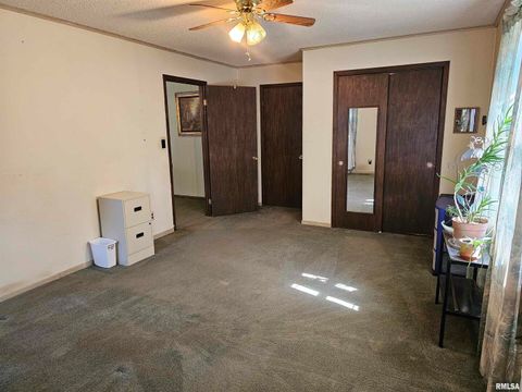 Tiny photo for 4864 Boaz Road, Grand Chain, IL 62941 (MLS # EB458950)