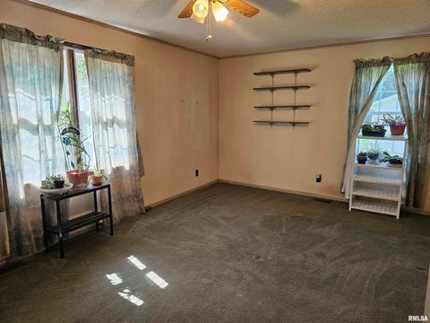 Tiny photo for 4864 Boaz Road, Grand Chain, IL 62941 (MLS # EB458950)