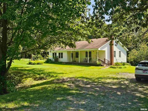 Tiny photo for 4864 Boaz Road, Grand Chain, IL 62941 (MLS # EB458950)