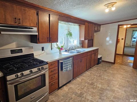 Tiny photo for 4864 Boaz Road, Grand Chain, IL 62941 (MLS # EB458950)