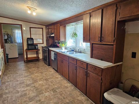 Tiny photo for 4864 Boaz Road, Grand Chain, IL 62941 (MLS # EB458950)