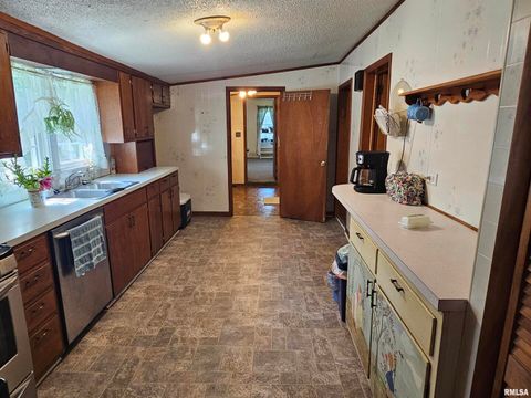 Tiny photo for 4864 Boaz Road, Grand Chain, IL 62941 (MLS # EB458950)