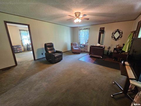 Tiny photo for 4864 Boaz Road, Grand Chain, IL 62941 (MLS # EB458950)