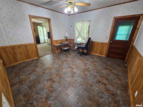 Tiny photo for 4864 Boaz Road, Grand Chain, IL 62941 (MLS # EB458950)